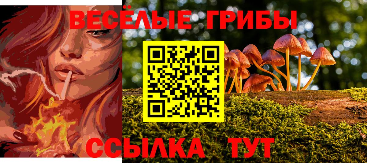 Псилоцибиновые грибы Cubensis Нижнекамск