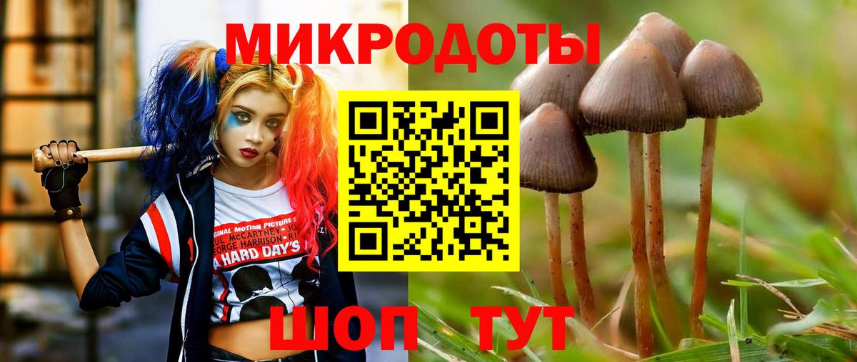 Нижнекамск  Псилоцибиновые грибы GOLDEN TEACHER  Вход с VPN 